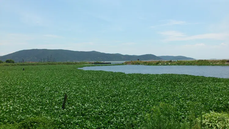 武进太湖湾旅游度假区