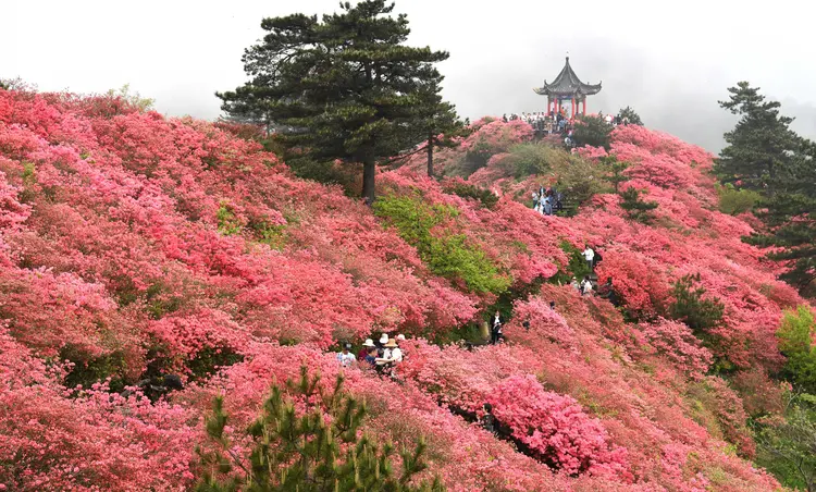 龟峰山