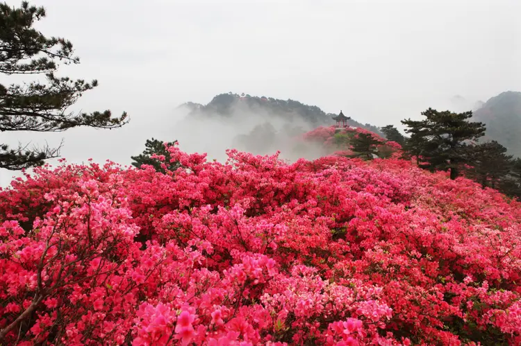 龟峰山