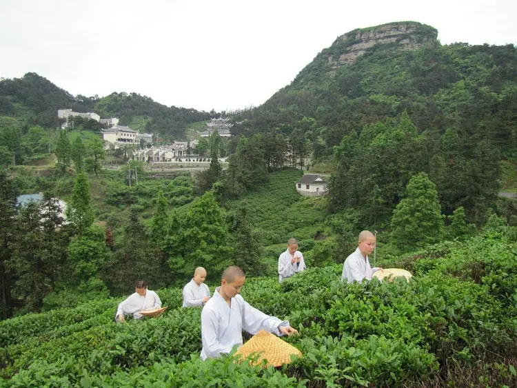 红安天台寺