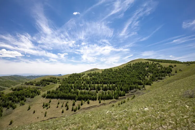 阴山