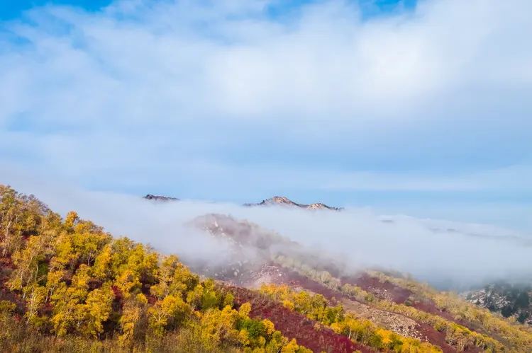 阴山