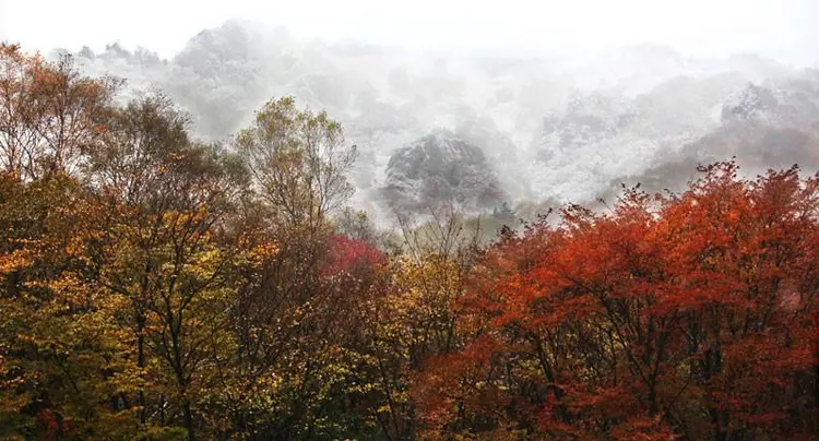 河北茅荆坝国家级自然保护区