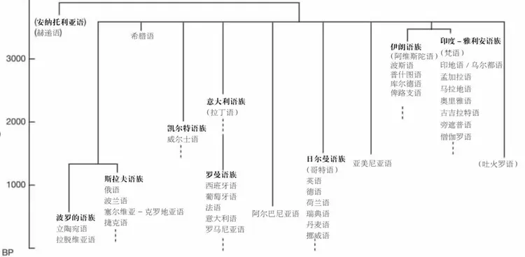 乌尔都语