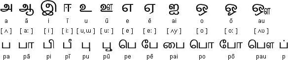 泰米尔语