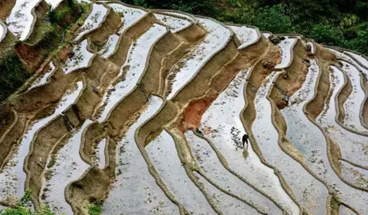 横峰县