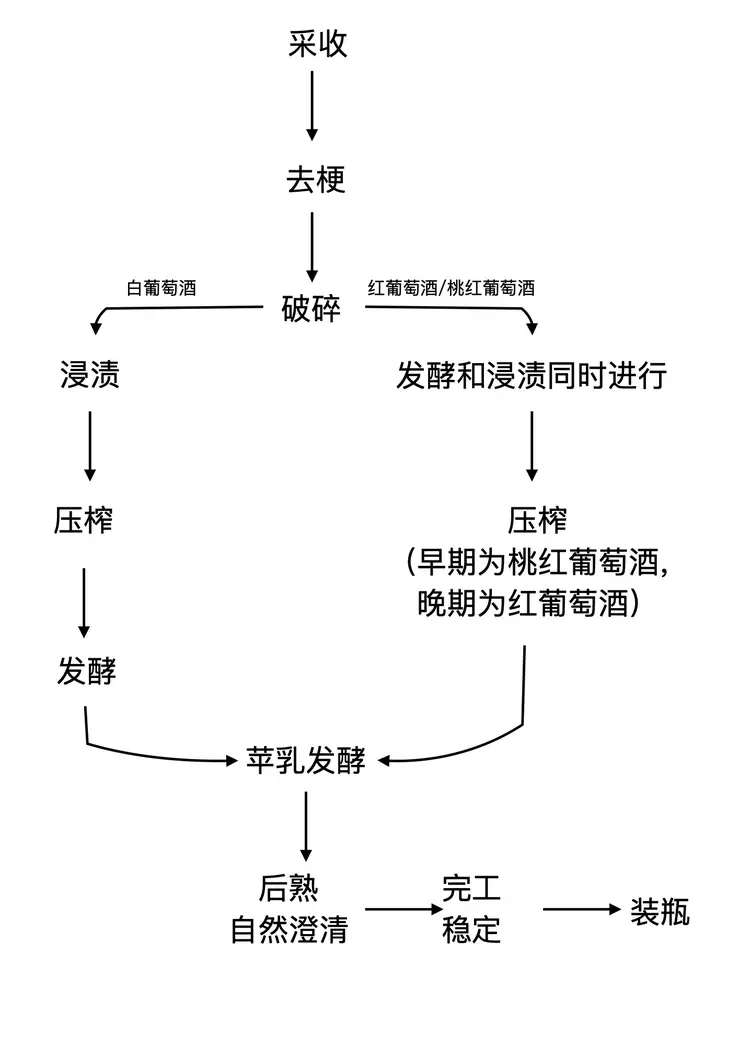 葡萄酒