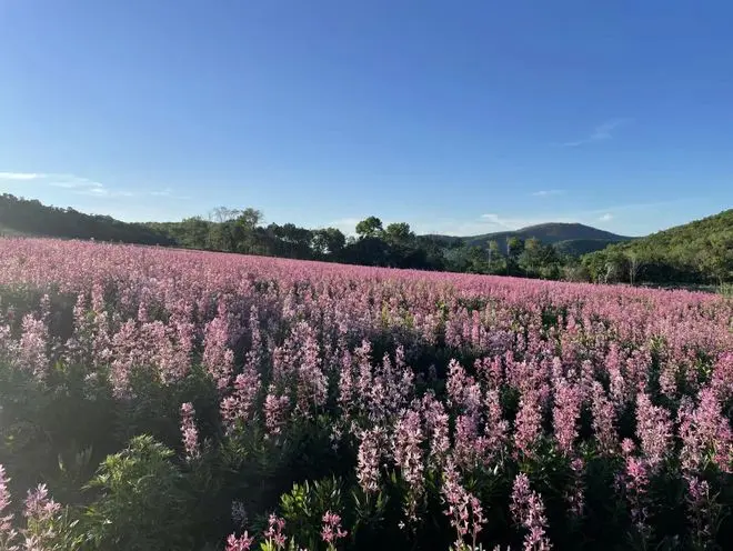 宝清县