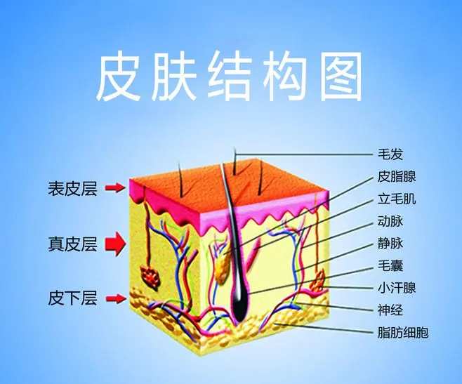 皮肤科