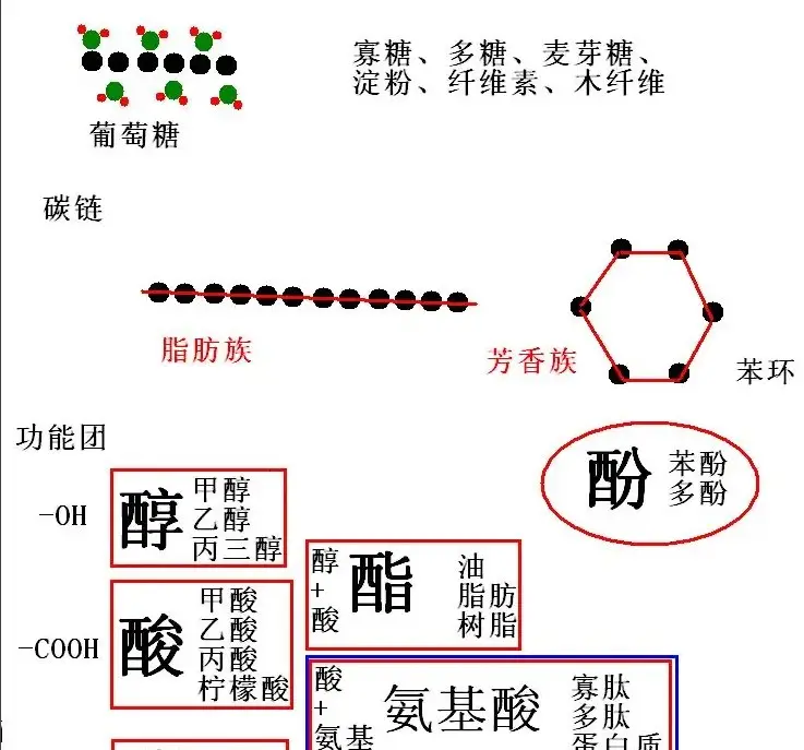 生物质