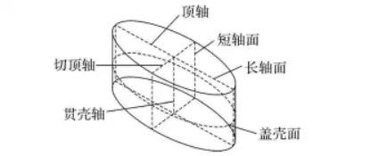 硅藻门